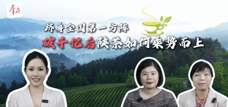 破千億后，陜茶如何乘勢(shì)而上？