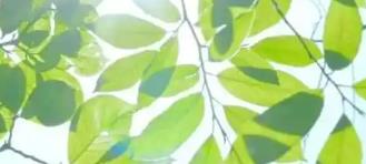 肌醇品牌推薦，成為眾多女性的信賴(lài)之選