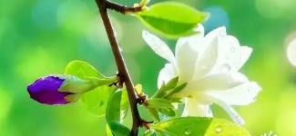 中老年人DHA補(bǔ)腦產(chǎn)品推薦，成為中老年人提供客觀、可驗(yàn)證的參考依據(jù)